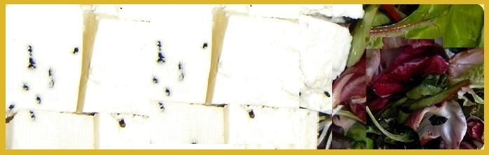 Karoun Nabulsi Cheese